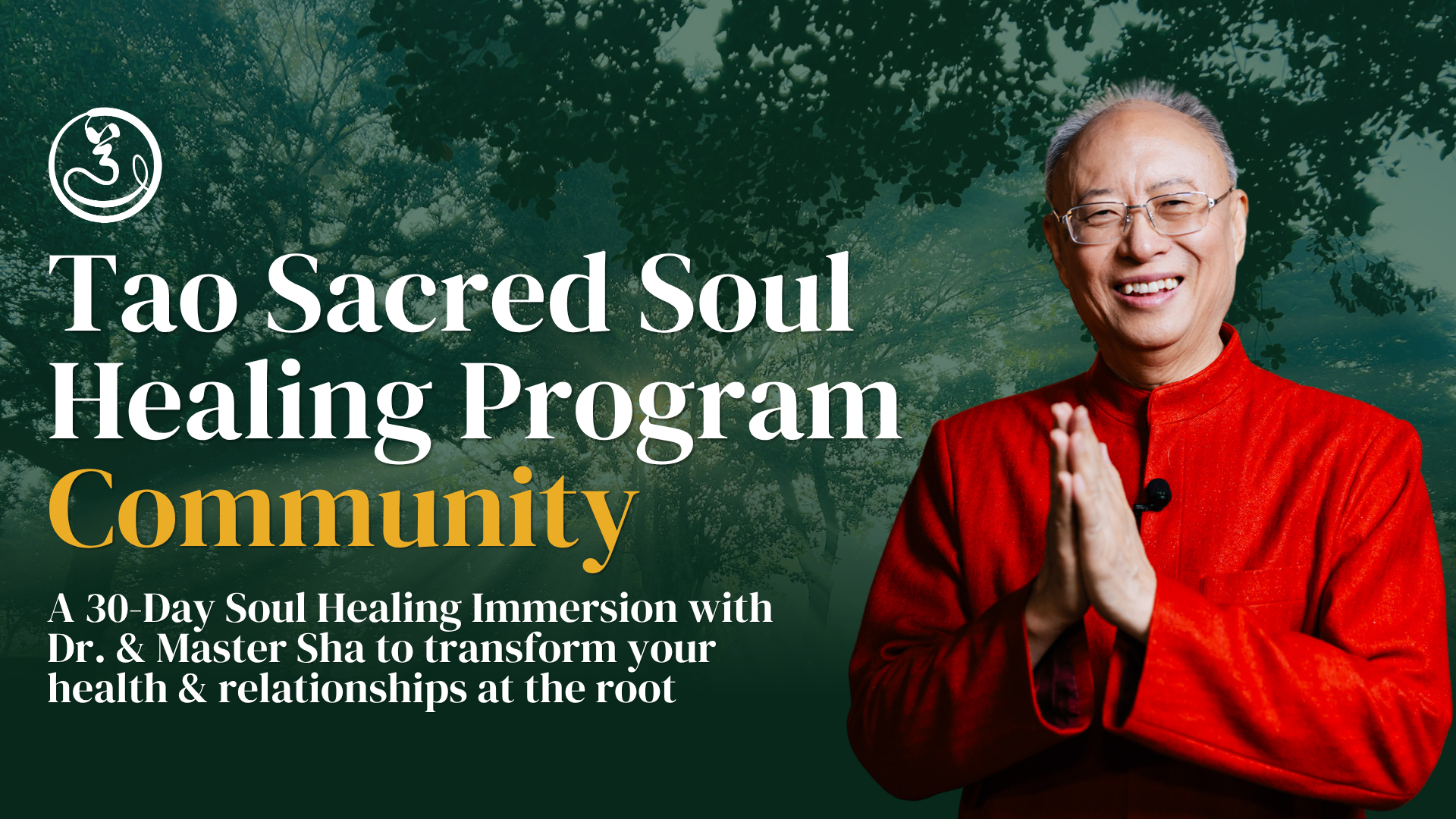 Tao Light Transmission Soul Healing Program
